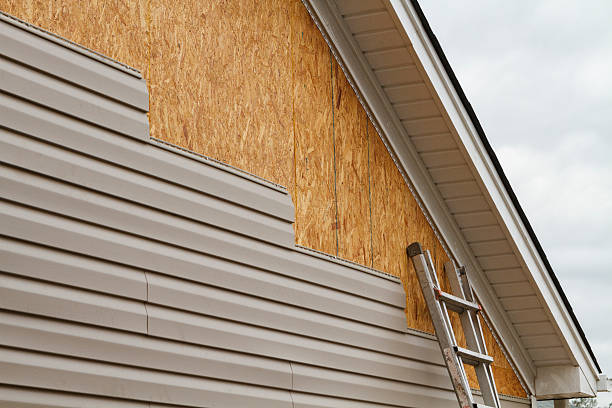 Professional Siding Repair technician working in Estero, FL